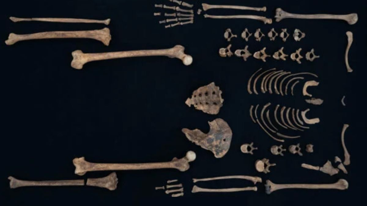 Bones of Ancient Egyptian Princesses Reveal They Were Kind of Badass : ScienceAlert