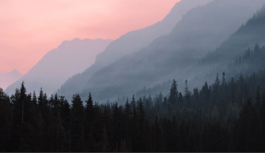 Smoke from U.S. wildfires affecting air quality in B.C. - CTV News
