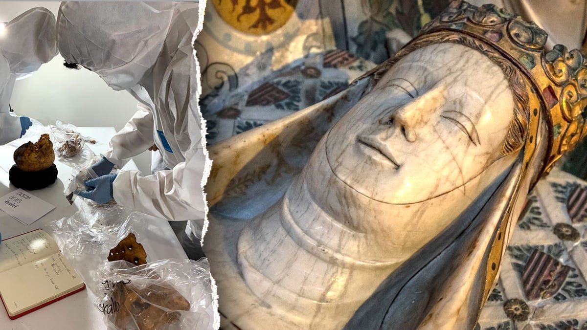 Split image of researchers analyzing remains, depiction of Queen Elisenda