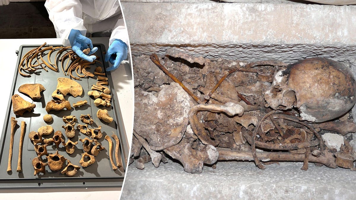 Split image of skeletons in lab, human remains in box