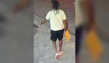 Toronto police seek suspect after parking officer struck