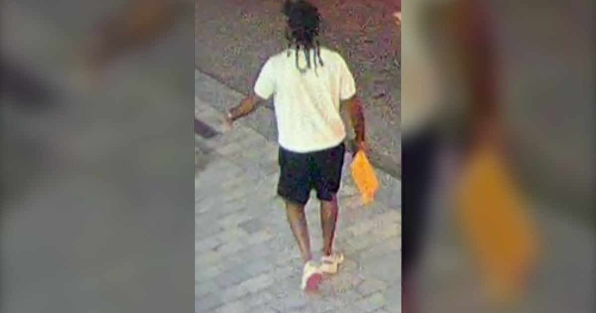 Toronto police seek suspect after parking officer struck