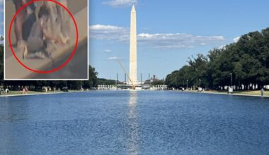 Trump shares news of 'crystal clear' Reflecting Pool, calls for vandalism suspect's arrest