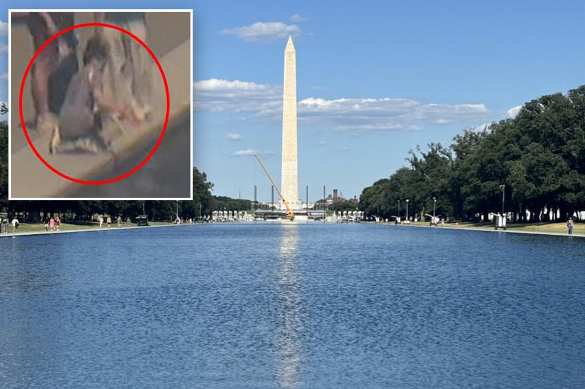 Trump shares news of 'crystal clear' Reflecting Pool, calls for vandalism suspect's arrest
