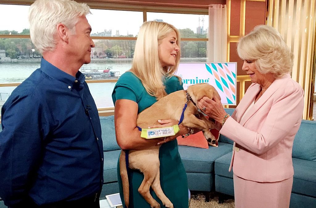 LONDON, ENGLAND - SEPTEMBER 09: Camilla, Duchess of Cornwall (centre) is shown an ITV birthday cake as she meets This Morning host Philip Schofield (second left) and co-presenter Holly Willoughby, during a visit to the ITV studios to mark the broadcaster's 60th anniversary on September 9, 2015 in London England. . Camilla toured the newly refurbished ITV riverside studios at Waterloo, meeting presenters and staff from This Morning, Good Morning Britain and Loose Women to mark the anniversary. An ITV birthday cake took her fancy, and she warned the host of presenters: "What I would really like to do is stick my finger in it, but I shall resist." (Photo by Emma Clark - WPA Pool/Getty Images)