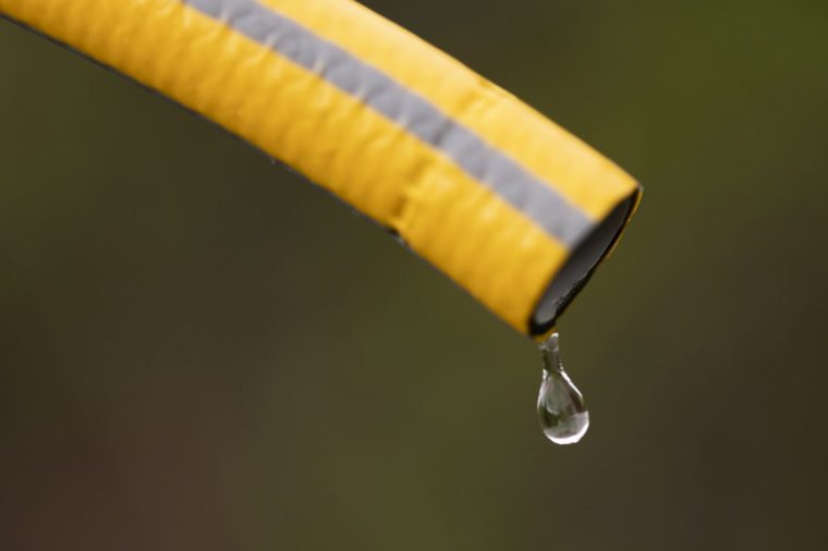LONDON, UNITED KINGDOM - AUGUST 03: In this photo illustration a hosepipe is used to water a garden on August 03, 2022 in London, United Kingdom. Hosepipe bans have been issued in parts of the south including Hampshire, which comes into force from August 5th, and Kent which comes into force on August 12th. (Photo by Dan Kitwood/Getty Images)
