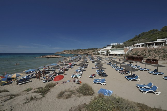 Sunloungers on the beach, Cala Tarida, Ibiza