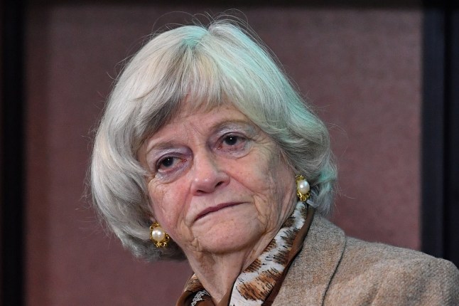Former Conservative minister Ann Widdecombe