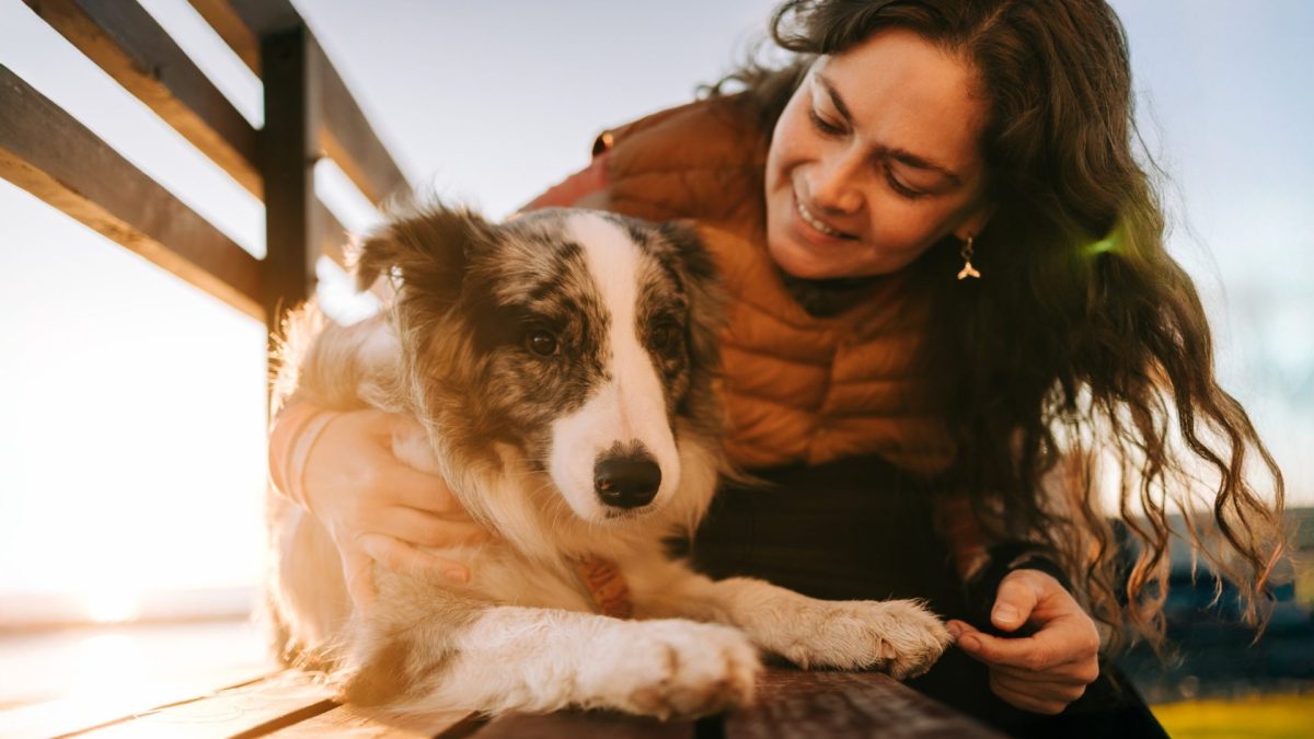 Woman bonding with her border collie dog at sunset by the lake