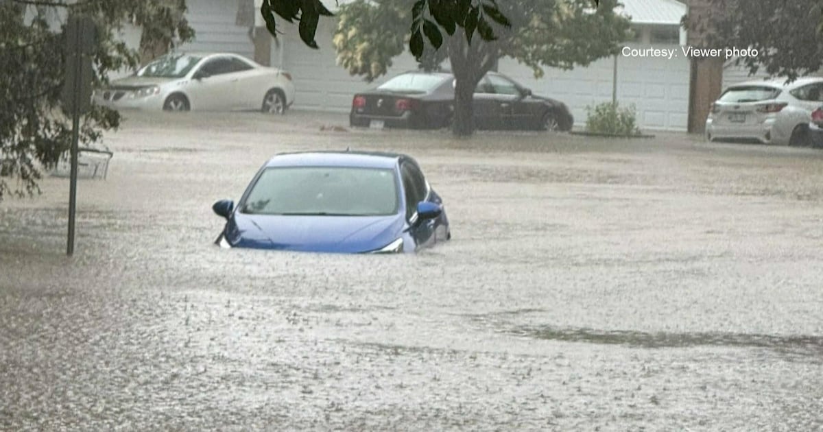 Ottawa councillors, MPPs call for provincial disaster funding after Canada Day rainstorm - CTV News