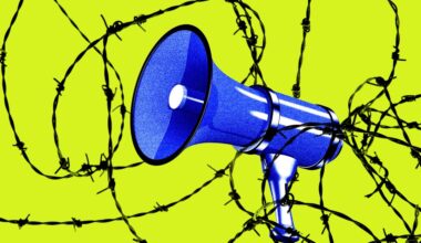 ICE sued after making house calls for online critics