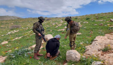 High Court petition demands protection for West Bank Palestinian herding communities