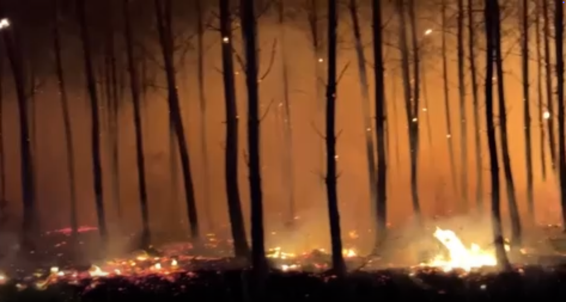 A forest fire near Bordeaux