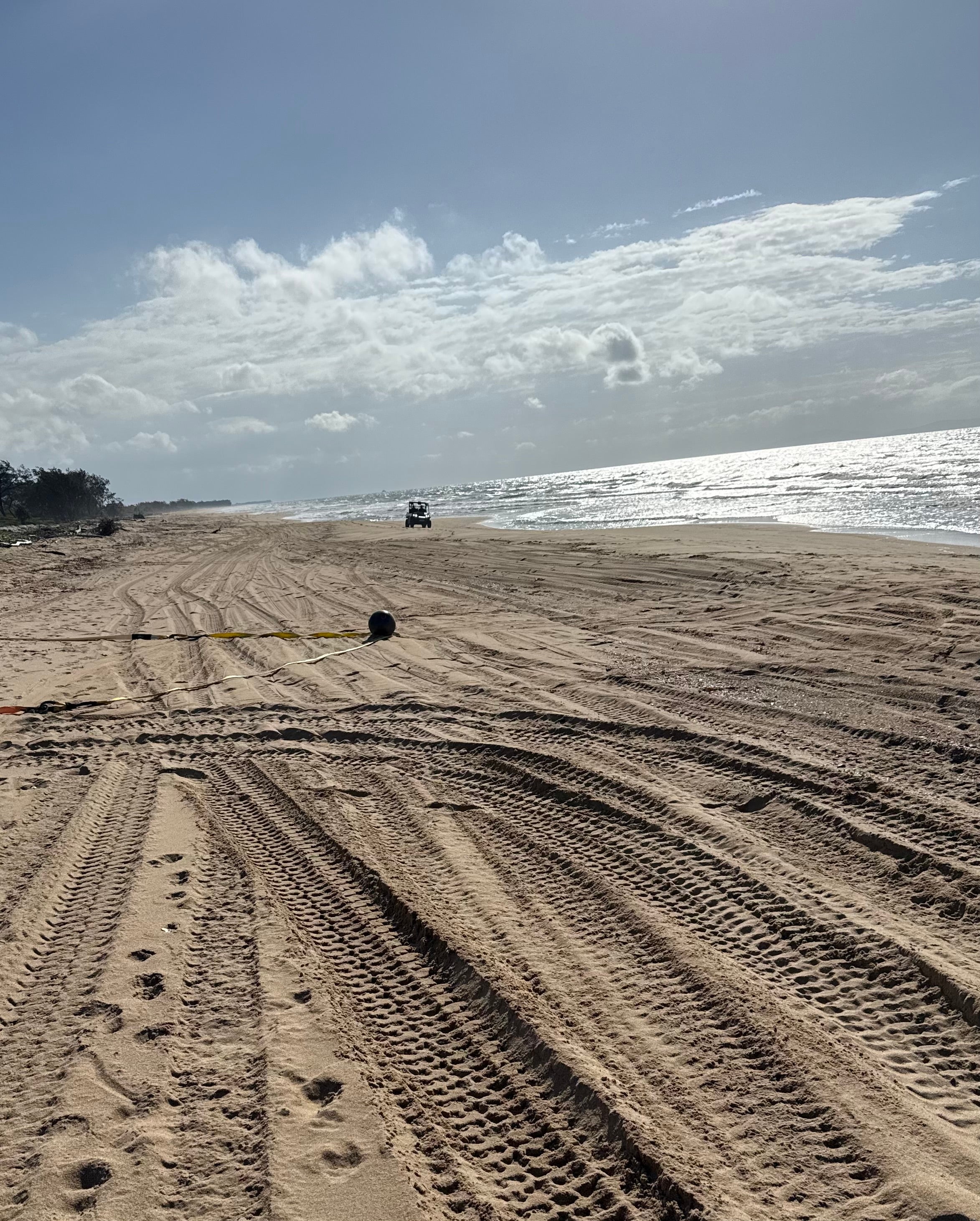 Strange black ball found at a Queensland beach (QFD via X)