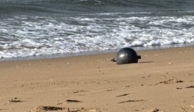 Strange balls found on Queensland beaches could be…