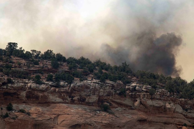Smoke from the Snyder Mesa Fire is visible from the Glade Park area west of Fruita Colo. Sunday afternoon, June 28, 2026. (Special to The Denver Post, William Woody)
