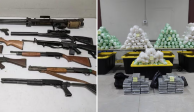 $139M in drugs seized in cross-border investigation - CTV News
