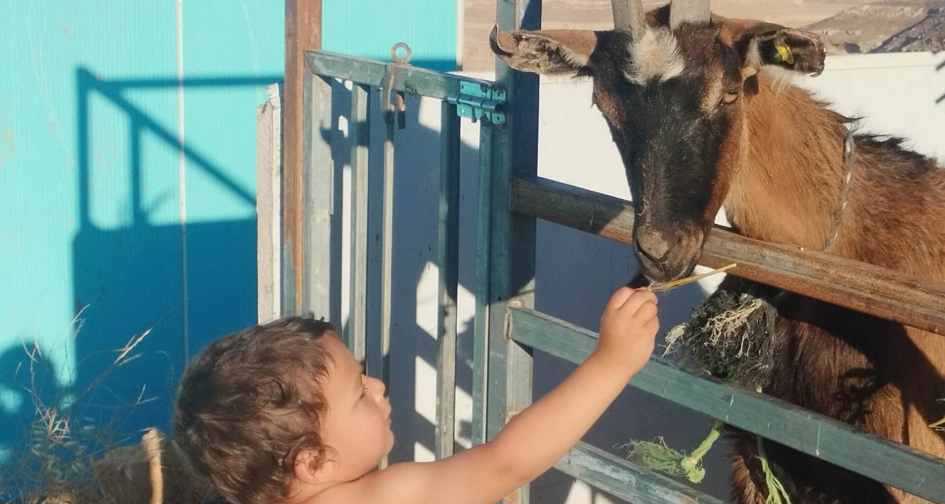 The Blogs: Tzur Misgabi - Strengthening Jewish Life in Judea | Linda Pardes Friedburg