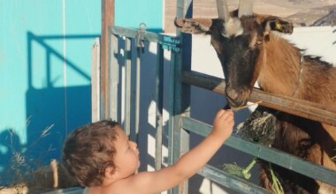 The Blogs: Tzur Misgabi - Strengthening Jewish Life in Judea | Linda Pardes Friedburg
