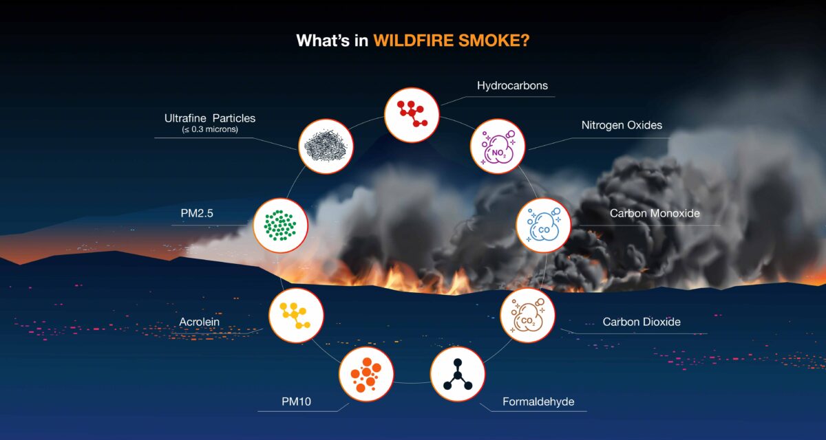 Wildfire Smoke Can Attack Almost Every Part of Your Body – Not Just Your Lungs