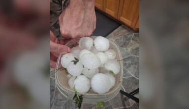 ‘It’s obliterated’: Farmers, residents reel after southwestern Manitoba storm - CTV News