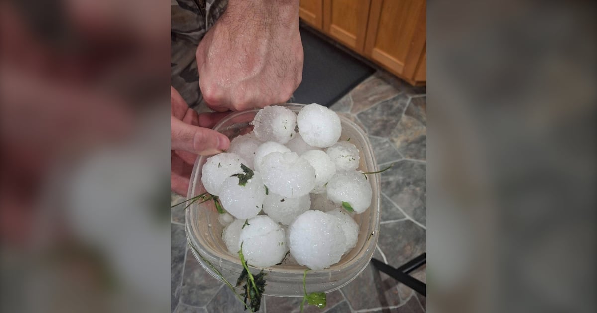 ‘It’s obliterated’: Farmers, residents reel after southwestern Manitoba storm - CTV News