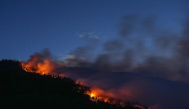 Wildfire prompts evacuation alert for residents of Kimberley, B.C.