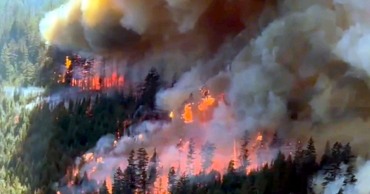Do Canada’s wildfire policies need improvement? Here’s what experts say - CTV News