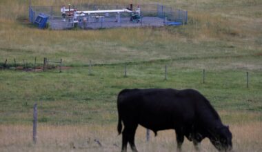 Enbridge starts construction on B.C. pipeline expansion for natural gas