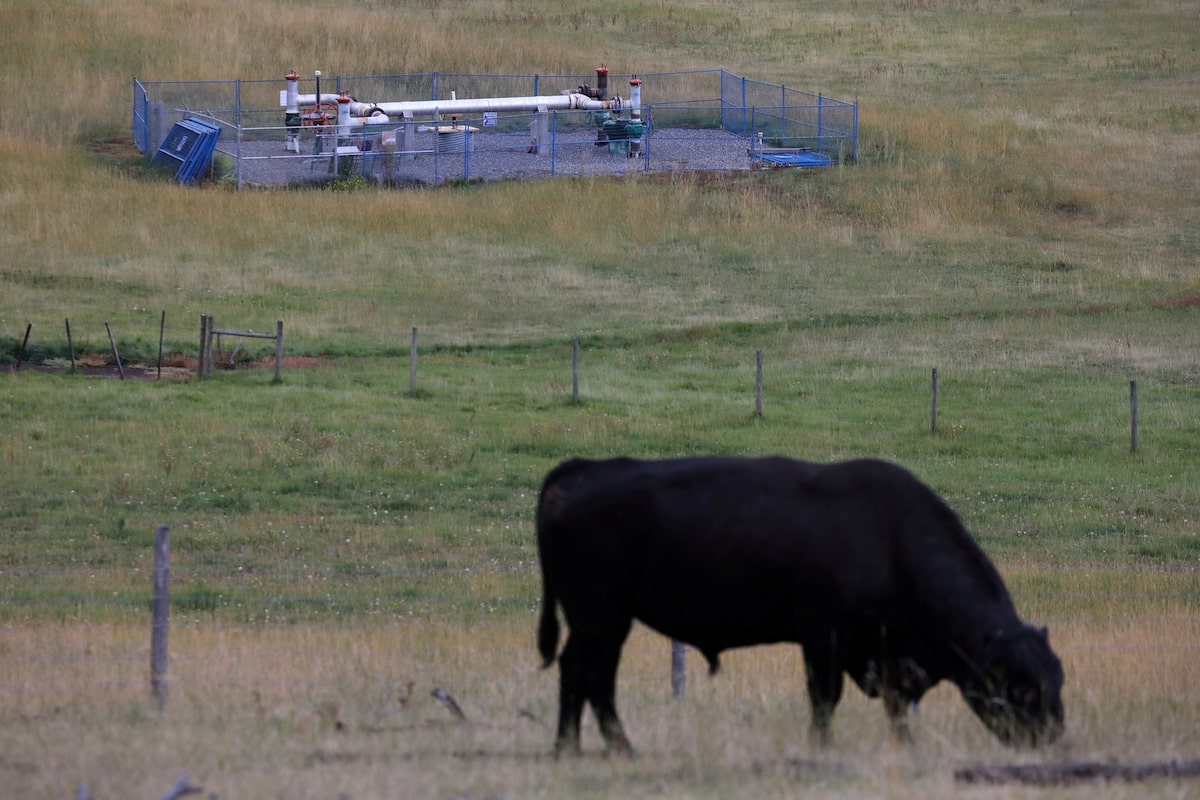 Enbridge starts construction on B.C. pipeline expansion for natural gas