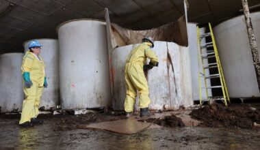 First load of rotting, decades-old fish sauce trucked away from abandoned N.L. plant - CTV News