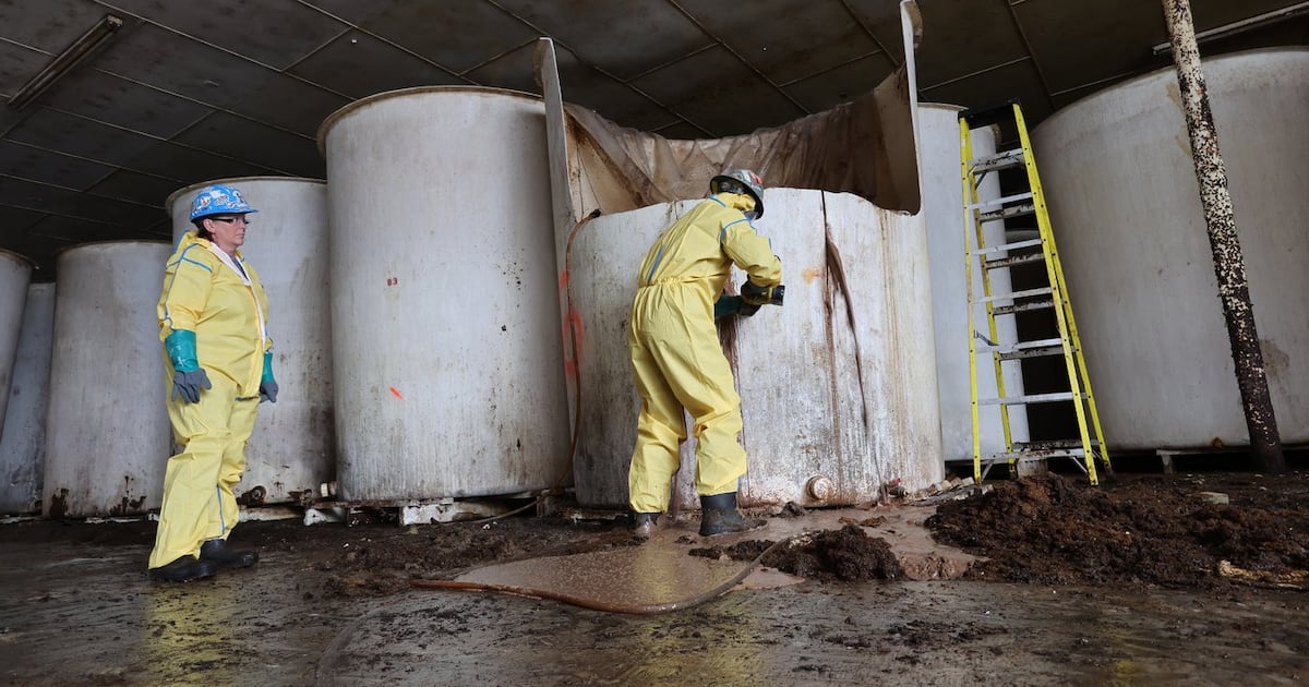 First load of rotting, decades-old fish sauce trucked away from abandoned N.L. plant - CTV News