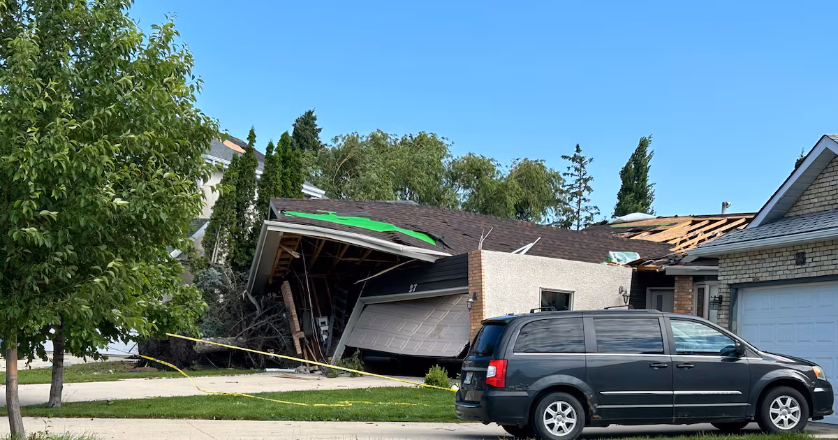 Homes damaged, trees uprooted in Winnipeg thunderstorm being investigated as possible tornado - CTV News