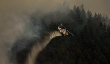 Wildfire activity jumps again overnight after lightning strikes across B.C. - CTV News