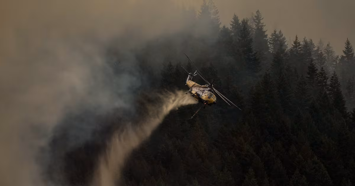 Wildfire activity jumps again overnight after lightning strikes across B.C. - CTV News