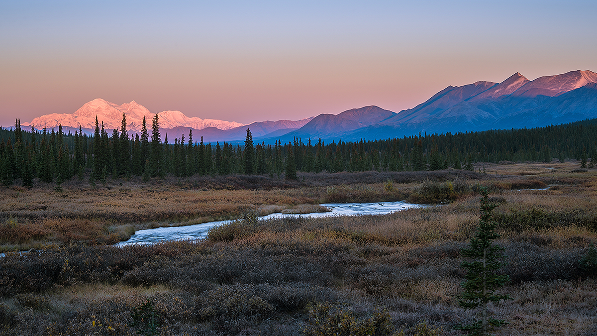 Denali mountain landscape in Alaska near Fairbanks