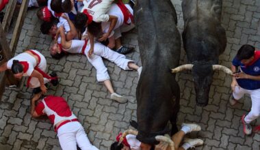 Bull gores runner in the face at Spain's San Fermin bull run festival, 12 others hurt