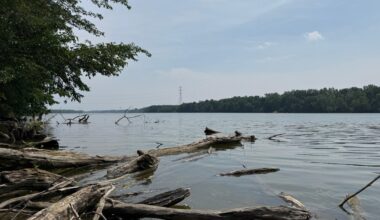 5 drown in Ohio's Scioto River as child runs for help