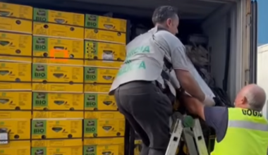 Cocaine worth $285 million found hidden in banana shipment in Italy