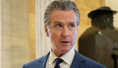 Gavin Newsom wants to ban the "buy, borrow, die" tax strategy. Here's what it is.