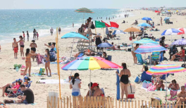 Man Injured in Potential Shark Attack off Long Island Following String of Shark Sightings in N.Y.C. Area