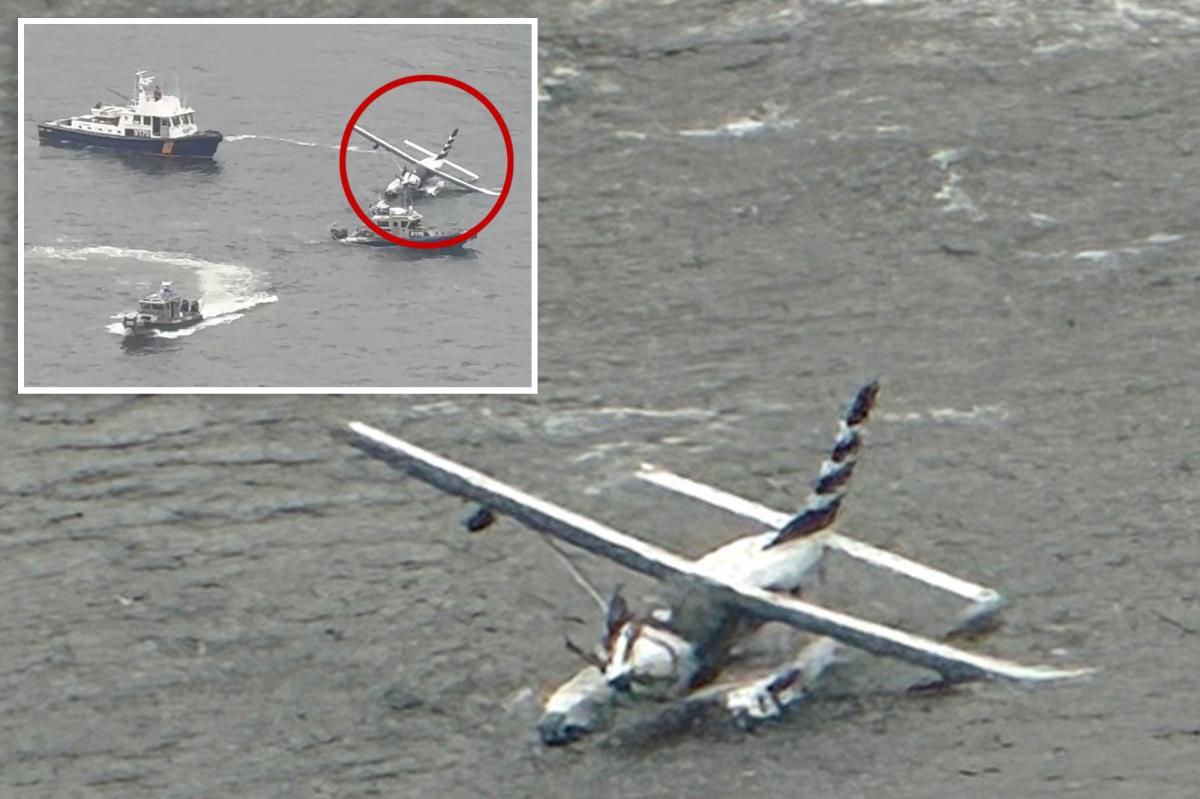 Seaplane carrying 8 passengers crashes into NYC's East River