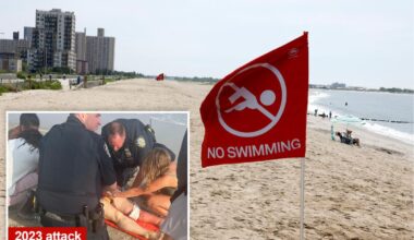 Swarm of bull sharks shut down NYC's Rockaway Beach during 4th of July weekend heatwave