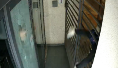 Israel: Two newsrooms attacked in less than one week in Tel Aviv