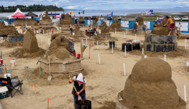 Suspected vandalism damages Parksvillle sand sculptures | NanaimoNewsNOW