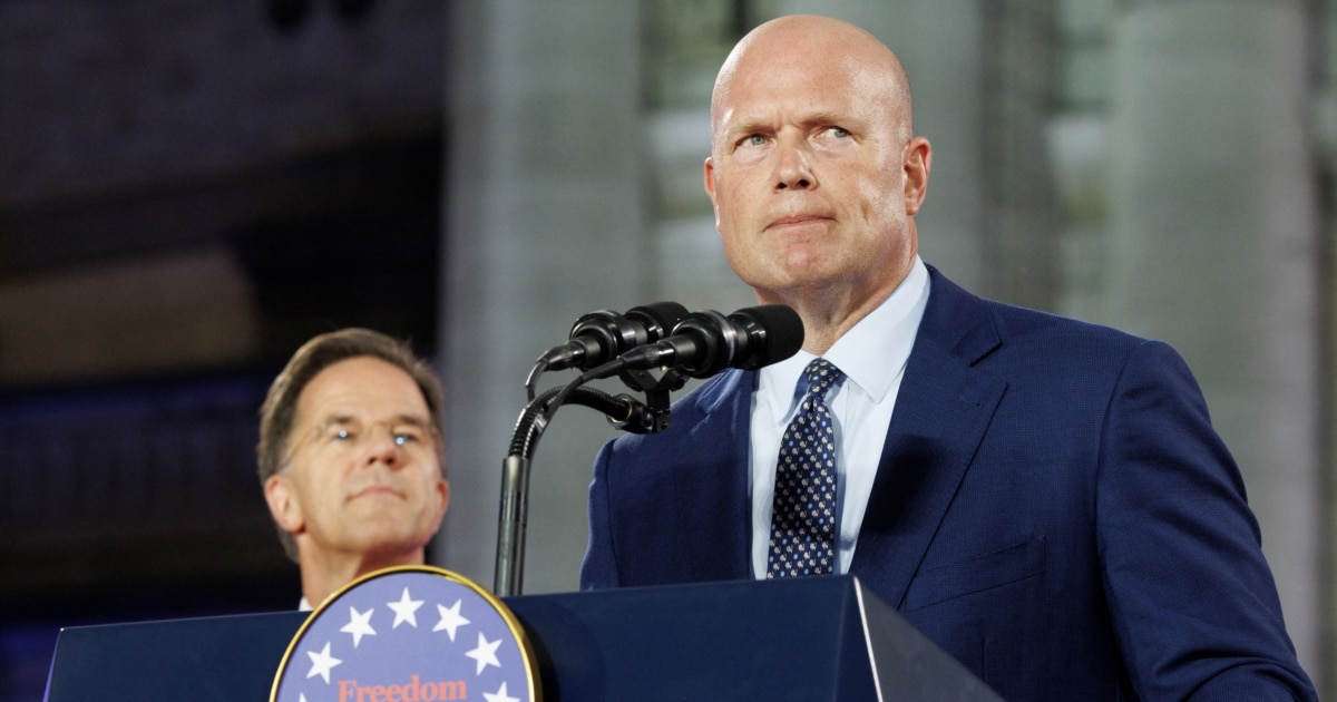 US Envoy Whitaker Says NATO Has Moved Past Iran Operation Tensions