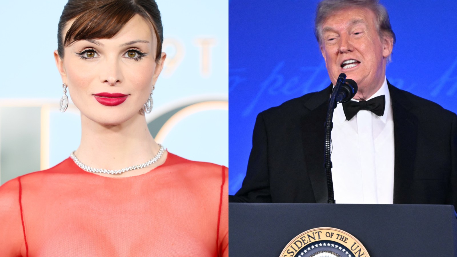 Dylan Mulvaney Responds to Trump Attacking Her in WHCD Speech