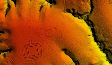 'Completely Transformed My Understanding': Scientists Uncover Hundreds of Hidden Structures Beneath The Amazon : ScienceAlert