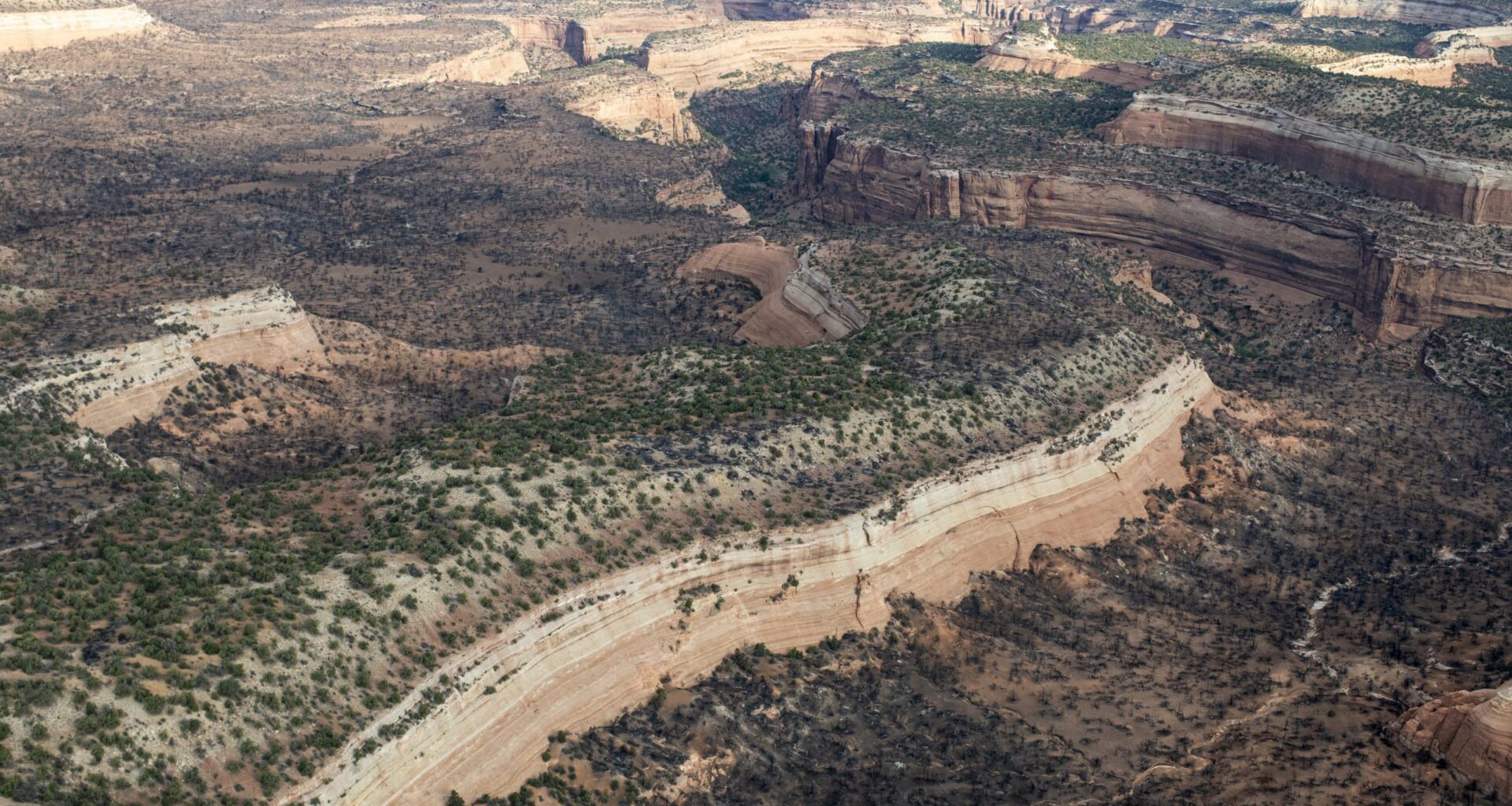 Fourth firefighter dies from injuries sustained in Knowles wildfire in western Colorado