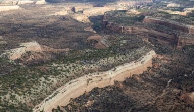 Fourth firefighter dies from injuries sustained in Knowles wildfire in western Colorado